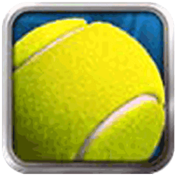 2014网球大师 1.0.10