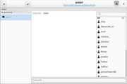 Polari For Linux 3.19.2