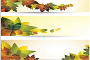 矢量秋季树叶设计 正式版