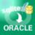 SqliteToOracle(Sqlite导入Oracle软件) 2.5 官方版