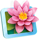 LilyView for mac 1.5.0 正式版