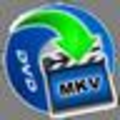 iOrgSoft DVD to MKV Converter(dvd视频转换工具) 3.3.8 官方版