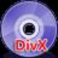 枫叶DIVX格式转换器 1.0.0.0 官方版