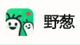 野葱