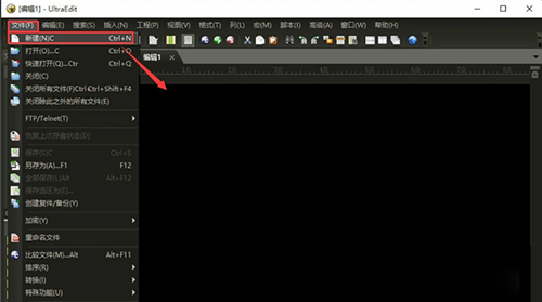 UltraEdit x64