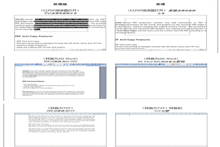 PDF Anti Copy
